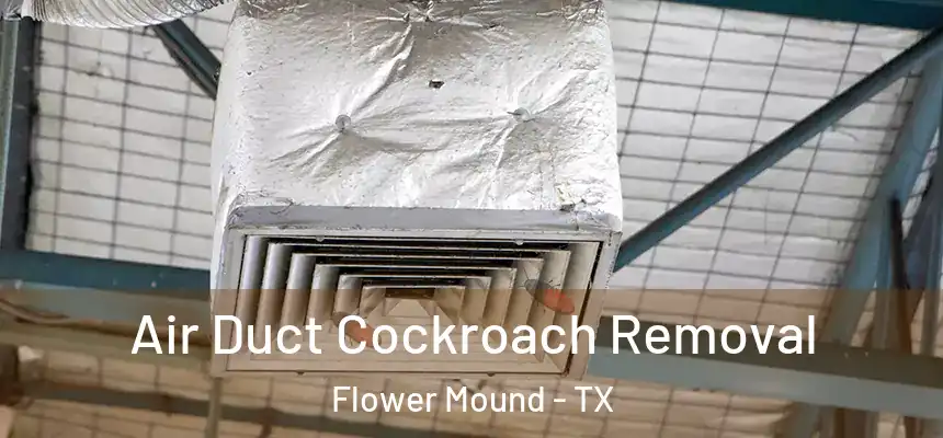Air Duct Cockroach Removal Flower Mound - TX