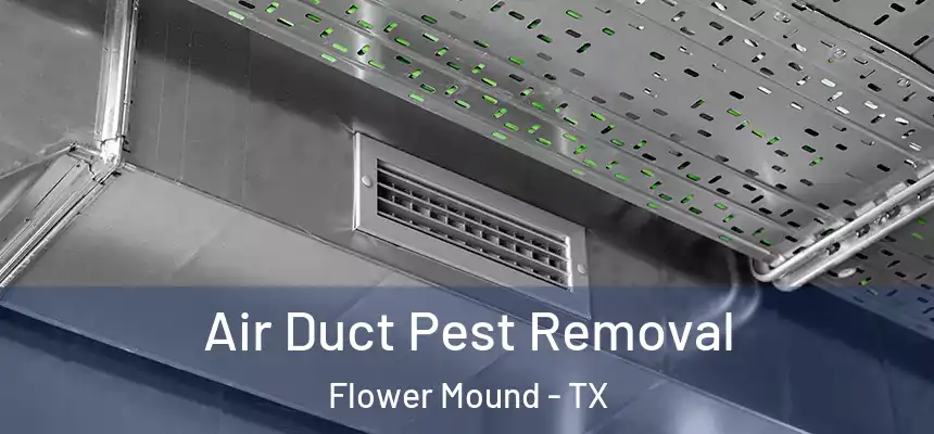 Air Duct Pest Removal Flower Mound - TX