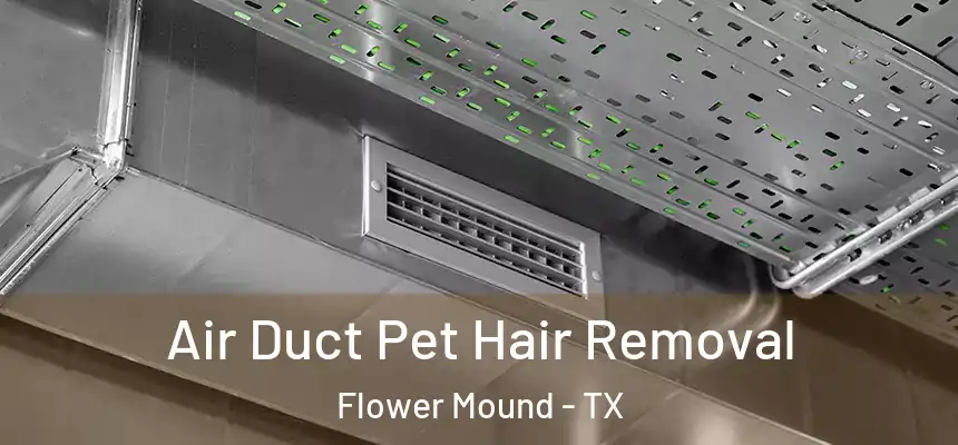 Air Duct Pet Hair Removal Flower Mound - TX