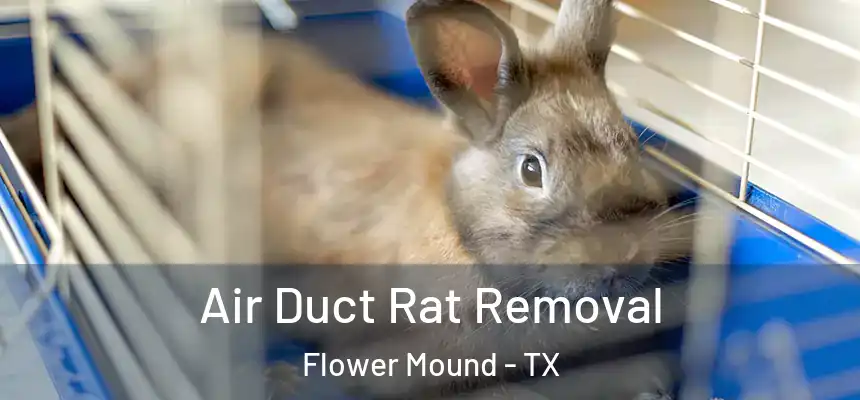  Air Duct Rat Removal Flower Mound - TX