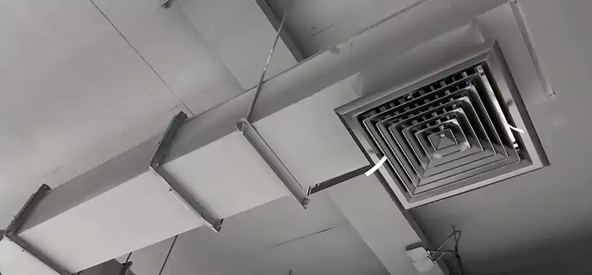 Our Rodent Droppings In Vents Services in Flower Mound, TX