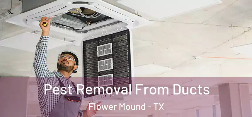 Pest Removal From Ducts Flower Mound - TX
