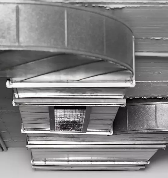 Professional Air Duct Pet Hair Removal in Flower Mound, TX