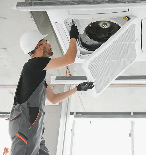 About Air Duct Rodent Removal in Flower Mound, TX