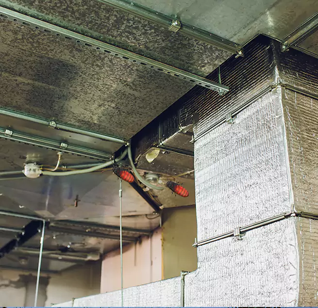 Why Homeowners & Businesses Trust Us in Flower Mound, TX?