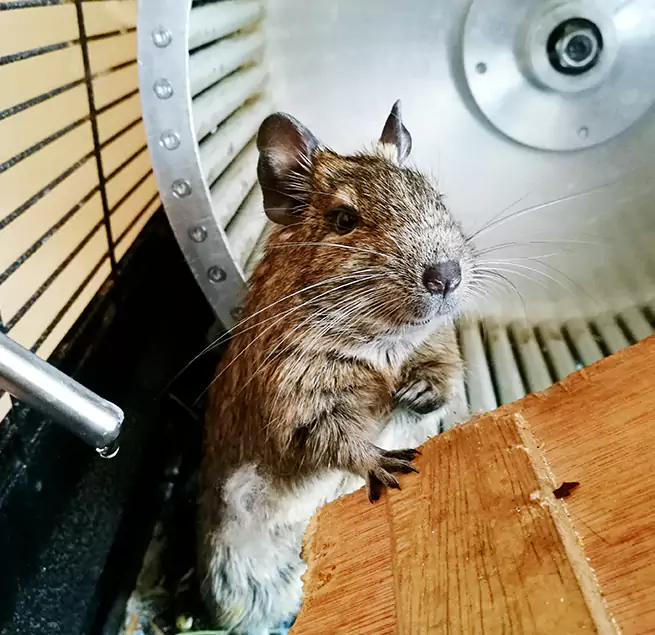 Why Homeowners & Businesses Trust Us Flower Mound, TX