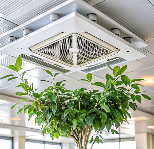 Why Homeowners & Businesses Trust Us in Flower Mound, TX?